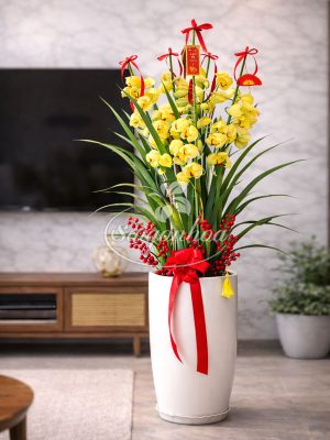 Chậu Hoa Địa Lan Vàng Tết