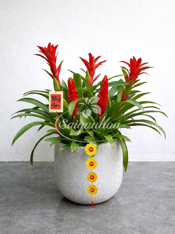 công-dụng-thẻ-bà-1i