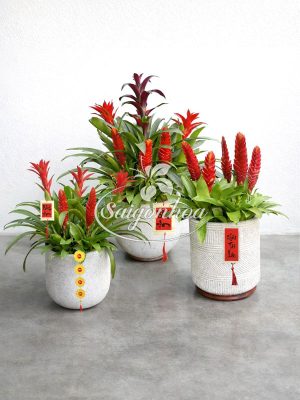 công-dụng-thẻ-bà-5