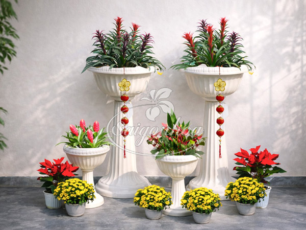 công-dụng-thẻ-bài