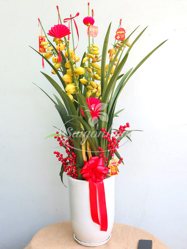 Chậu Hoa Địa Lan Vàng Tết