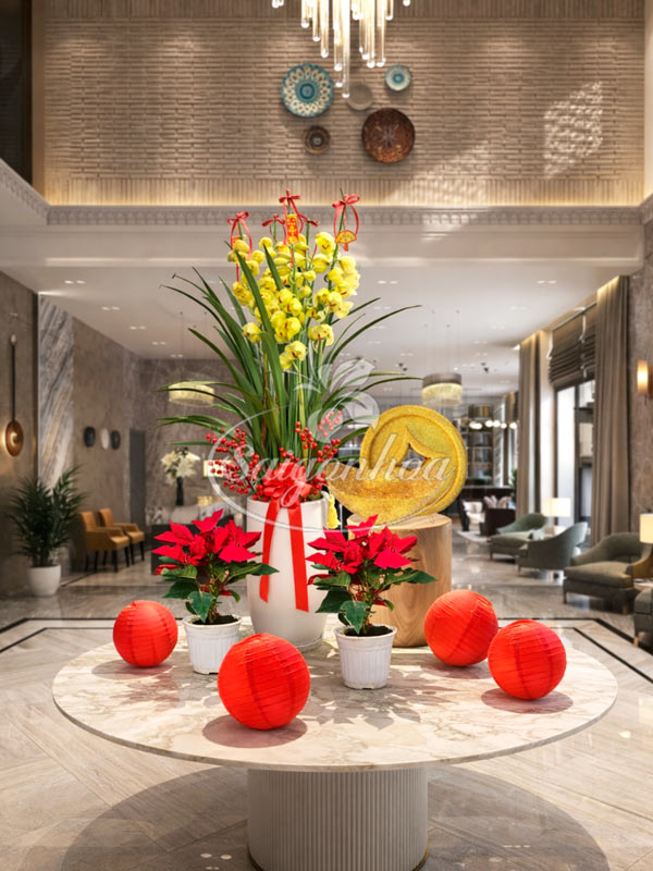 Chậu Hoa Địa Lan Vàng Tết