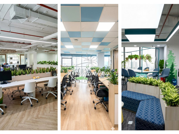 Phủ-xanh-từng-góc-nhỏ-kiến-tạo-văn-phòng-xanh-2