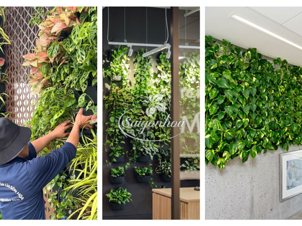 Phủ-xanh-từng-góc-nhỏ-kiến-tạo-văn-phòng-xanh-4