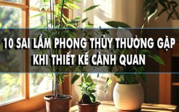 10 sai lầm phong thủy thường gặp