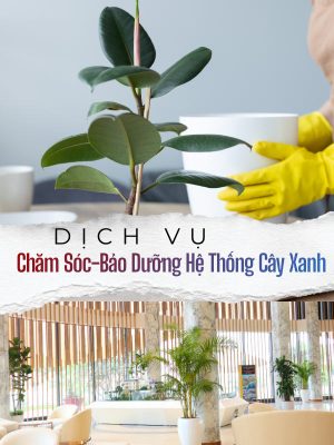 Dịch Vụ Chăm Sóc-Bảo Dưỡng Hệ Thống Cây Xanh