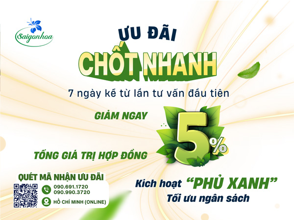 ưu-đãi-chốt-nhanh