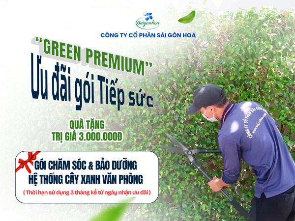 ưu-đãi-gói-tiếp-sức