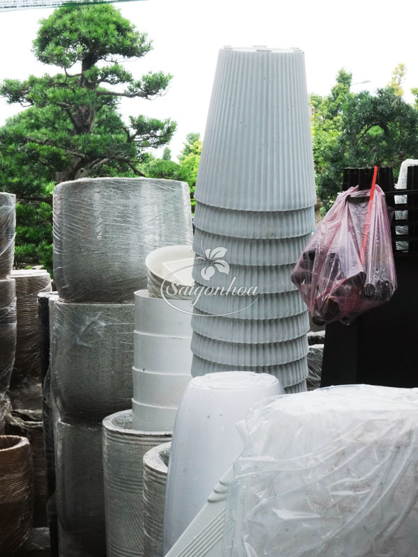 Chậu-Nhựa-Bom-Vân-Trắng-7