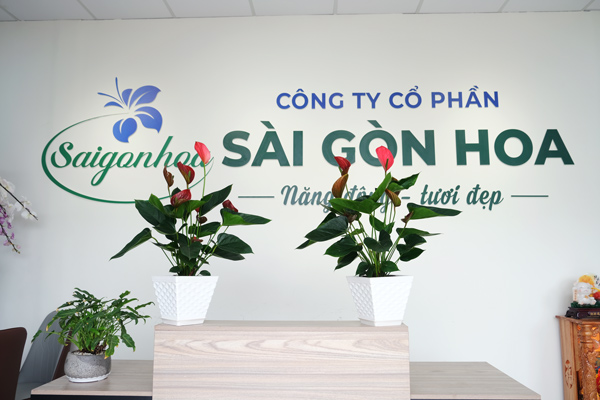 Hồng-môn-đỏ-12