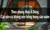 phong thủy á đông