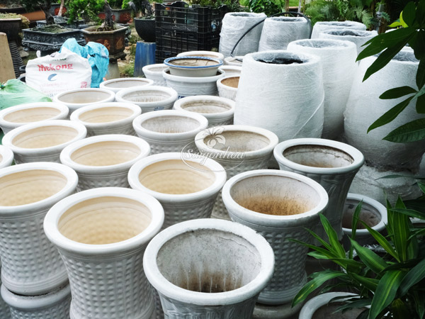 nơi-cung-cấp-chậu-nhựa-1