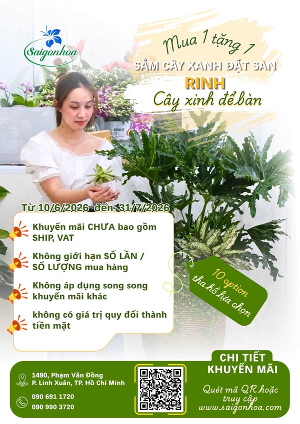 tờ rơi mua 1 tặng 1