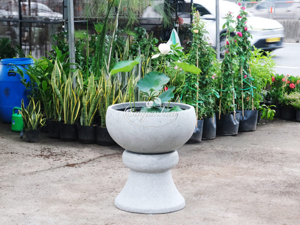 Chậu-đá-mài-tô-xám-M60xC30cm-3