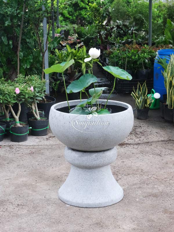 Chậu-đá-mài-tô-xám-M60xC30cm-4