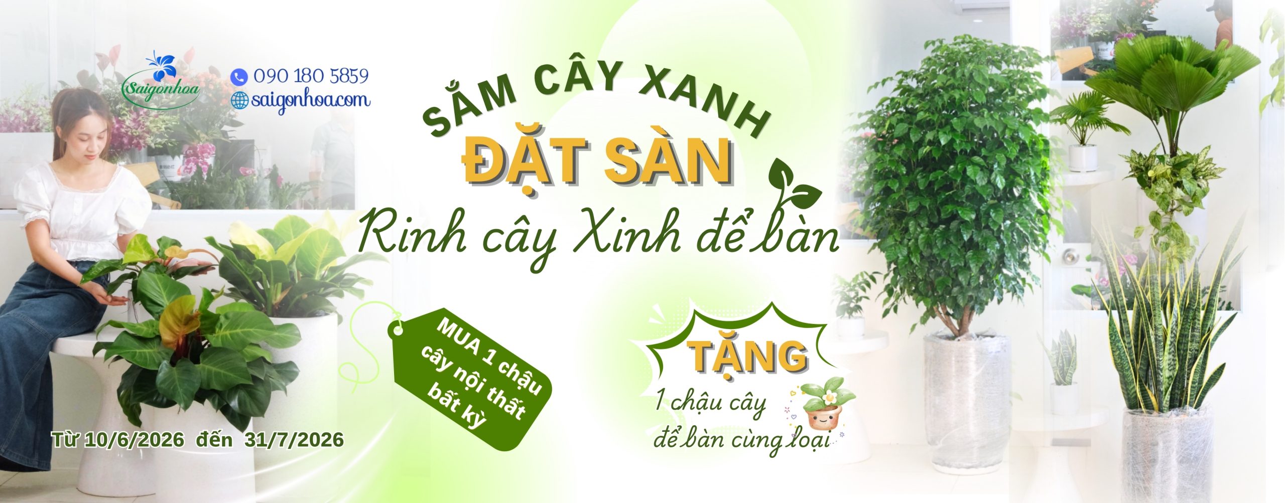 SÀI GÒN HOA: SẮM CÂY XANH ĐẶT SÀN - RINH CÂY XINH ĐỂ BÀN