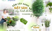 SÀI-GÒN-HOA-SẮM-CÂY-XANH-ĐẶT-SÀN,-RINH-CÂY-XINH-ĐỂ-BÀN