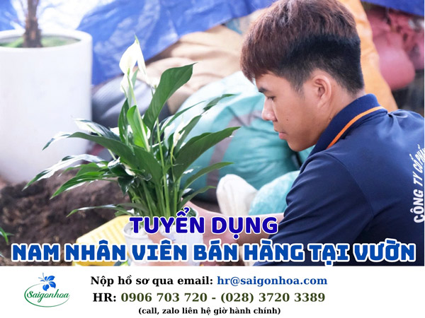Tuyển dụng nam nhân viên bán hàng tại vườn