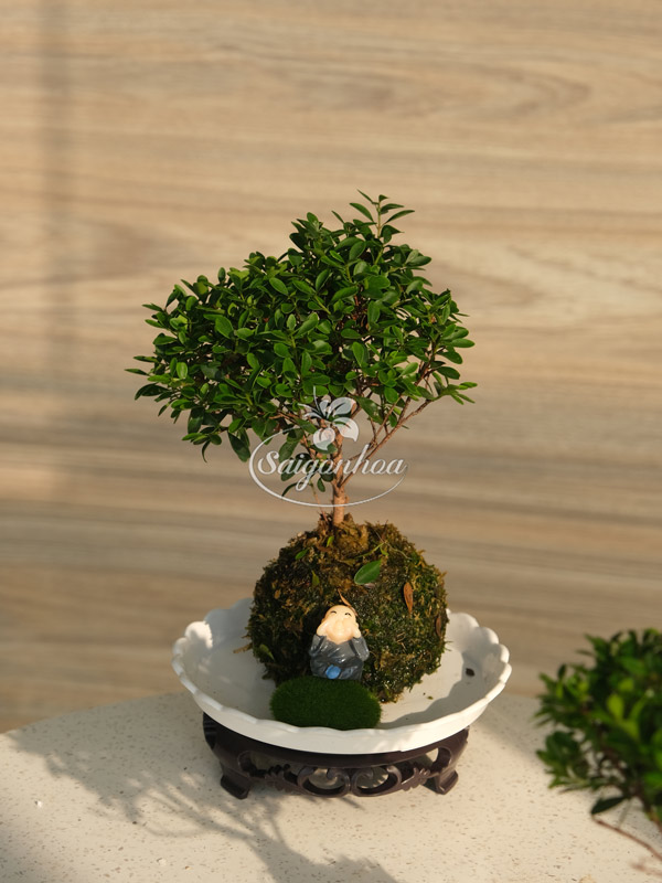 Tiểu-Diệp-Trong-Cầu-Rêu-3