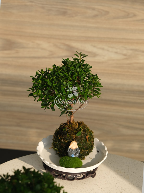 Tiểu-Diệp-Trong-Cầu-Rêu-4