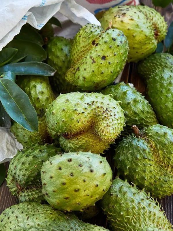 công-dụng-mãng-cầu-gai-1