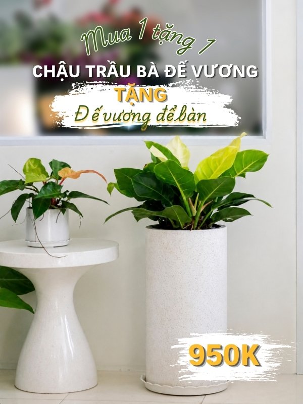 đế vương & đế vương