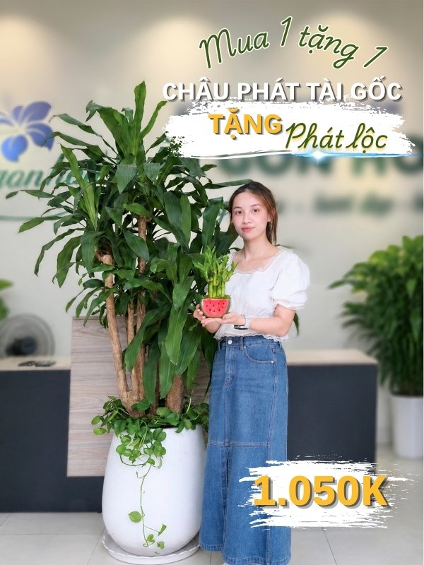phát tài & phát lộc