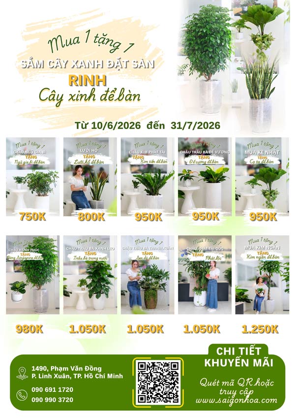 CTKM MUA 1 TẶNG 1 - tờ rơi mặt sau