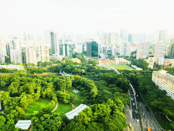 THÀNH PHỐ TRONG VƯỜN