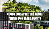 THÀNH PHỐ TRONG VƯỜN