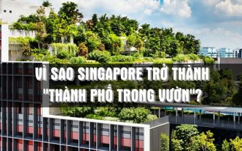 THÀNH PHỐ TRONG VƯỜN