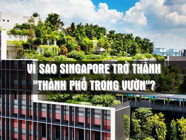 THÀNH PHỐ TRONG VƯỜN