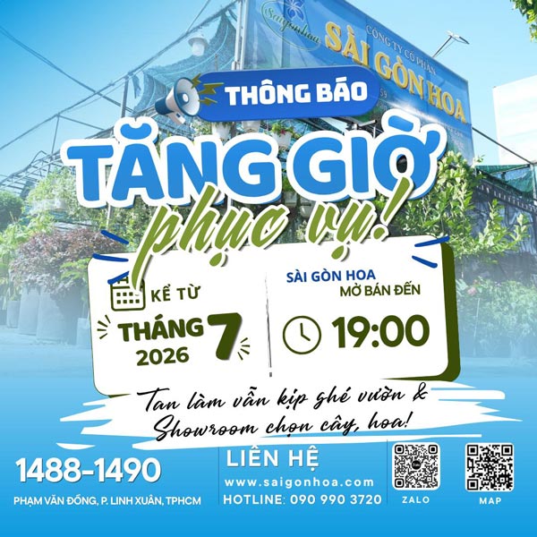 THÔNG BÁO SÀI GÒN HOA TĂNG GIỜ PHỤC VỤ ĐẾN 19H00