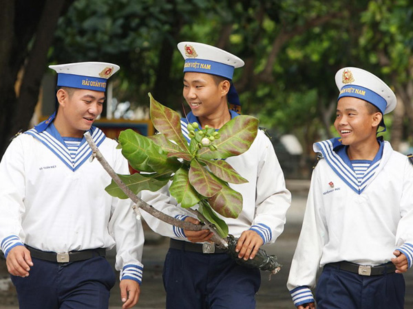 y-nghia-van-hoa-tinh-than-cay-bang-vuong