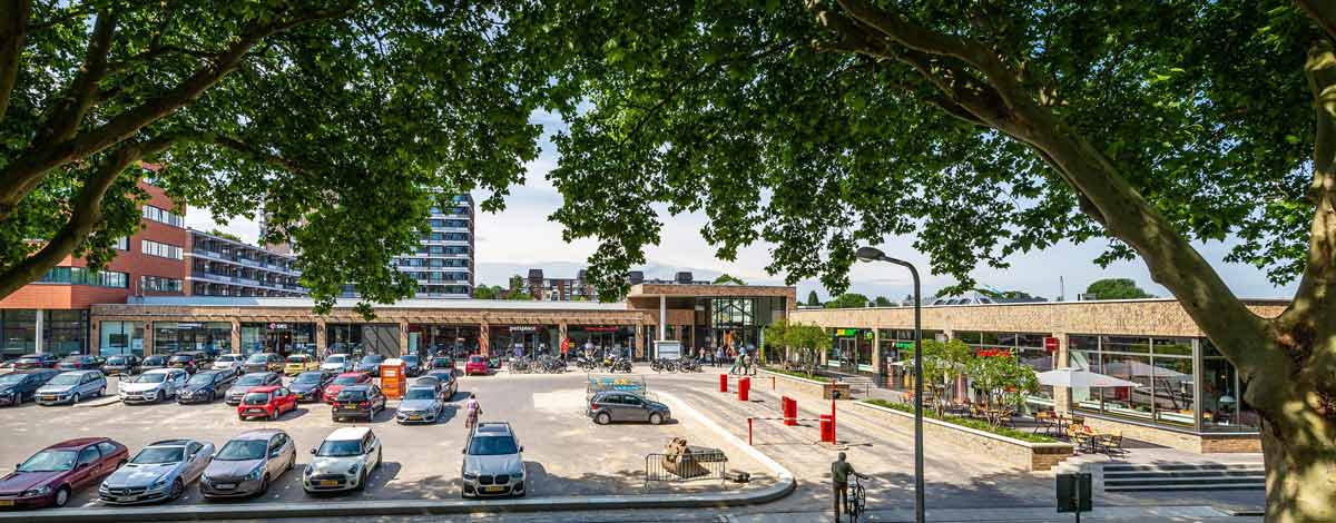 cây xanh cho bãi đỗ xe và khu thương mại