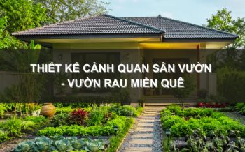 Thiết Kế Cảnh Quan Sân Vườn - Vườn Rau Miền Quê