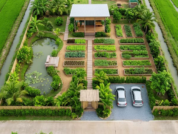 Thiết Kế Cảnh Quan Sân Vườn - Vườn Rau Miền Quê