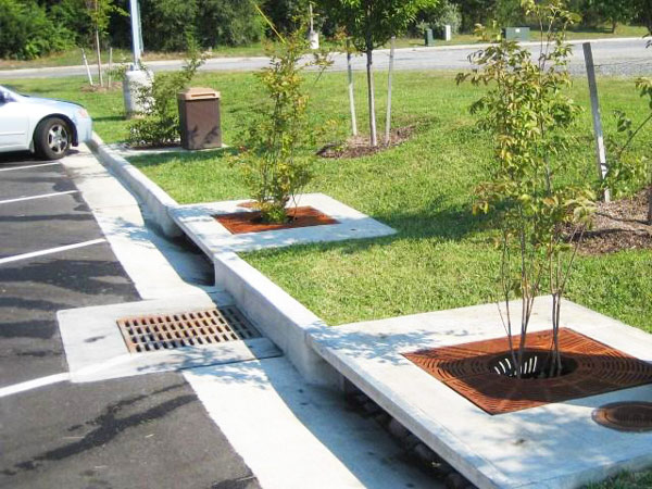 cây xanh cho bãi đỗ xe và khu thương mại