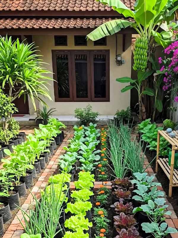 Thiết Kế Cảnh Quan Sân Vườn - Vườn Rau Miền Quê