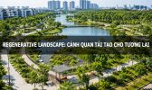 Cảnh quan tái tạo