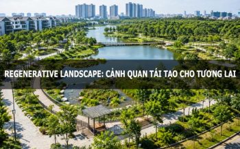 Cảnh quan tái tạo