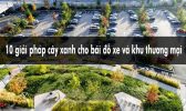 Giải pháp cây xanh cho bãi đỗ xe và khu thương mại
