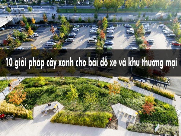 Giải pháp cây xanh cho bãi đỗ xe và khu thương mại