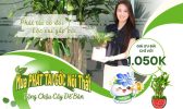 Mua 1 tặng 1 | Phát Tài