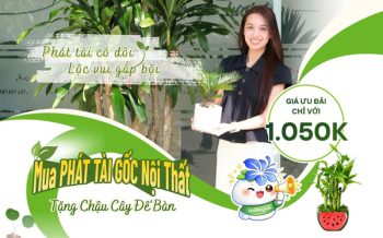 Mua 1 tặng 1 | Phát Tài