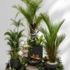 bo-cay-cau-decor-gieng-troi