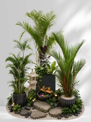 bo-cay-cau-decor-gieng-troi