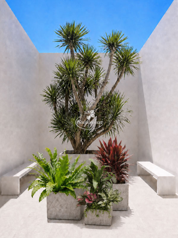 bo-cay-phat-tai-nui-big-size-decor