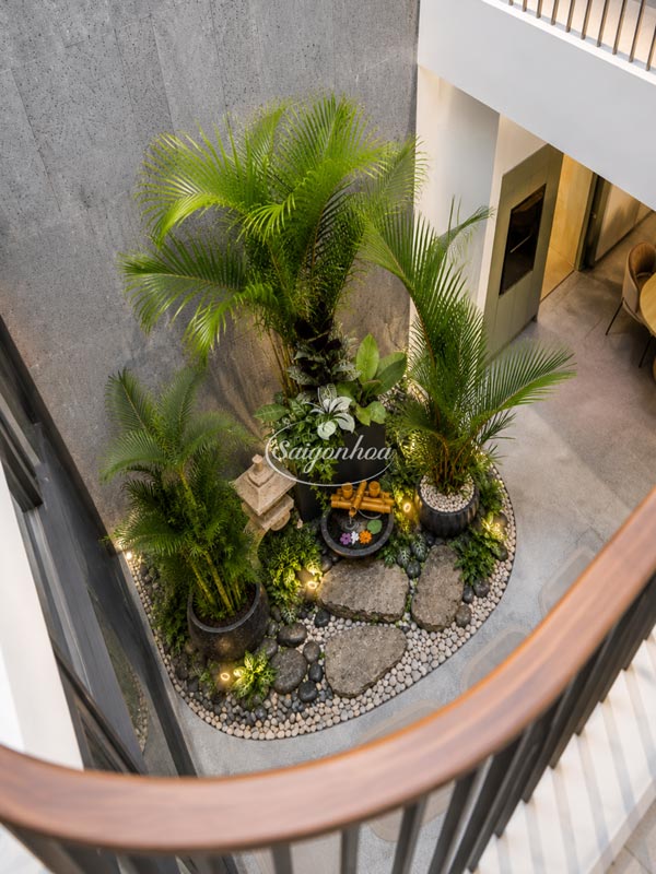 bo-chau-cay-cau-decor