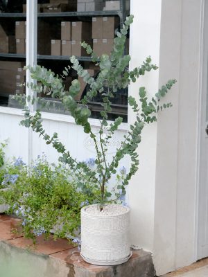 cong-dung-noi-that-cay-do-la